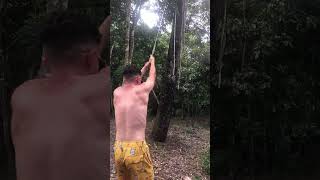 Man Takes Vine Swing, Falls When Vine Snaps
