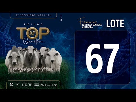 LOTE 67 FSM A2498