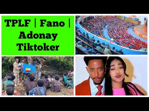 Two Attacks By Fano TPLF Adone Tiktoker 