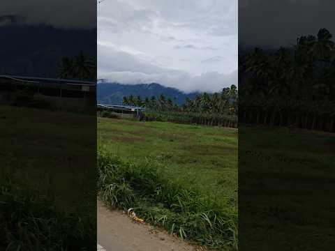 Green landscapes of Kollengode Palakkad of Kerala #greenlandscapes #kollengode #palakkad #kerala