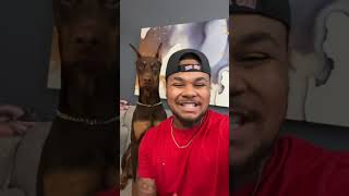 Knox Dog and Suavexavier #4kvideo #2025 #comedy #pets #funny #duet   ♥ Funniest Dog 2025