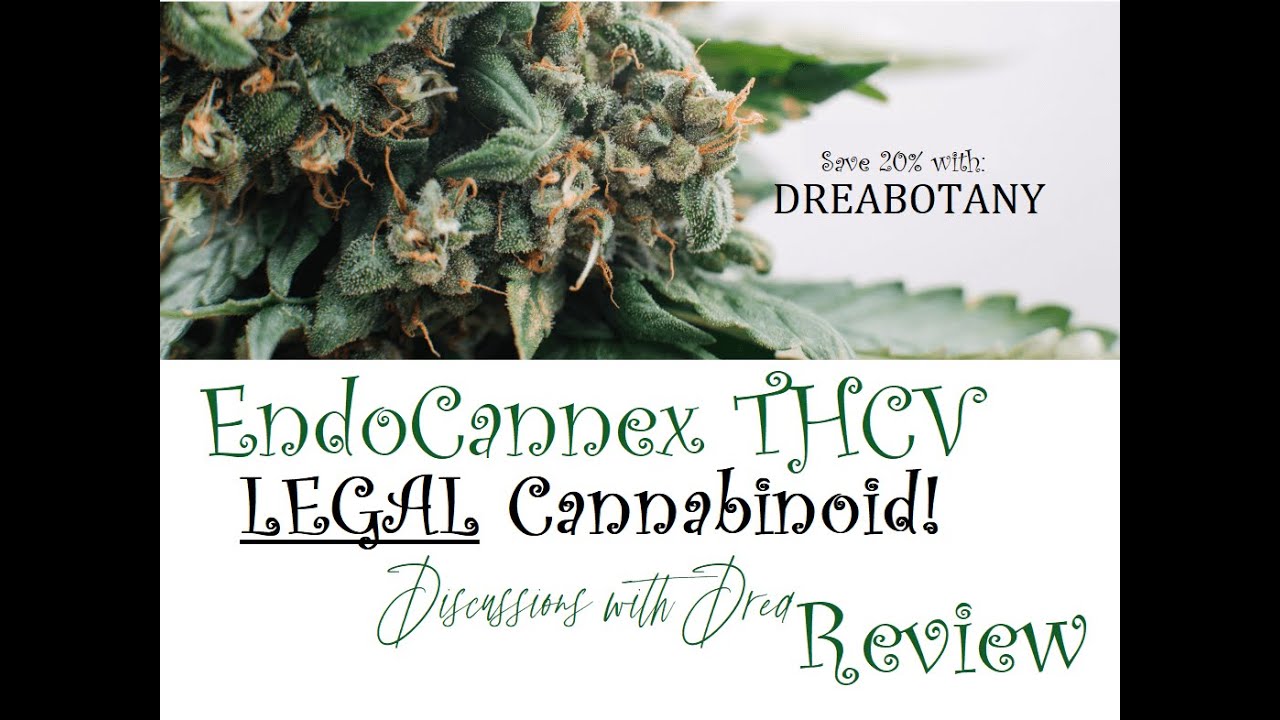 My Favorite Mushroom Coffee with EndoCannex Focus Pocus Red Eye