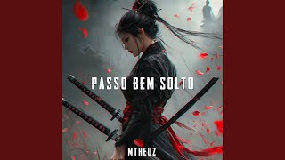 Passo Bem Solto (Remix) - Mtheuz
