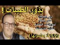 بذور الطيبات الافضل من البيض مليون مرة تبنى العضلات تقوى العظام تحارب الشيخوخة والتهاب المفاصل 