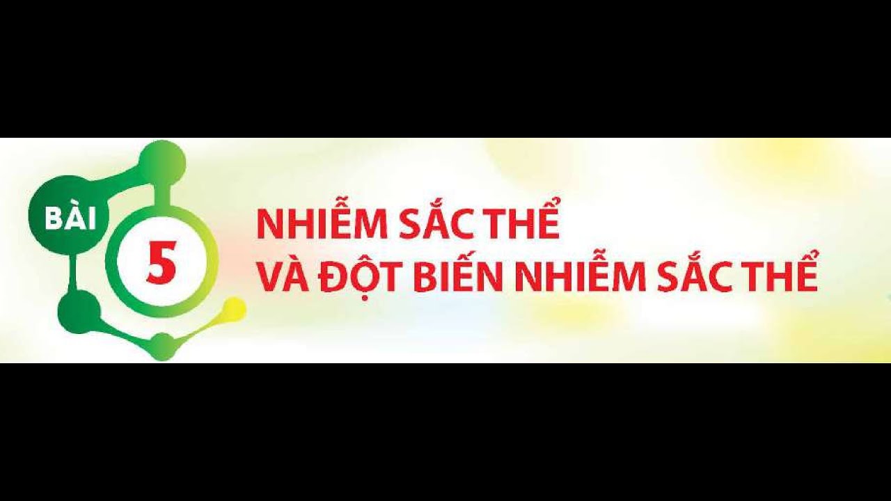 BÀI 05: NHIỄM SẮC THỂ VÀ ĐỘT BIẾN SỐ LƯỢNG NHIỄM SẮC THỂ