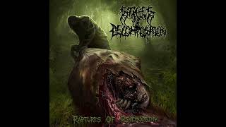 Stages Of Decomposition - Raptures Of Psychopathy (Full Album)