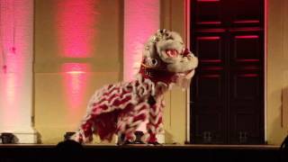 UVA lion dance dancing under the stars