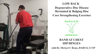 Degenerative Disc Disease Exercises, How to Exercise with Herniated & Bulging Discs L2 L3 L4 L5 S1 Degenerative Disc Disease Exercises To Avoid And Include Stretches Part 1