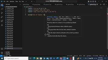 Python program to Find the size of a Tuple