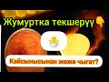 #тоок #короз #жумуртка Тоок астындагы жумуртканы текшеребиз!