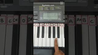 Guess the Raag - Jhankaradhwani (Melakartha 19 Veda Chakra)