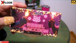 Xplode Fireworks - Rebel Raccoon (Neuheit 2025) Top Neuheit & heftig!