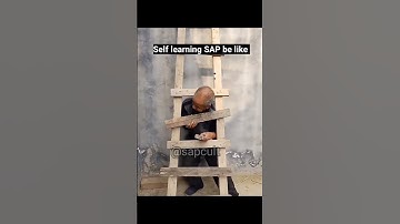 SAP self Learning #memes #sapmemes #reels #funny #sapvideos #abap #sap #saperp #comedy #comedymemes