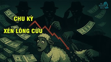 BẠN SẼ BỊ BÓC LỘT CẢ ĐỜI NẾU KHÔNG HIỂU CHU KỲ XÉN LÔNG CỪU - CÁCH MÀ GIỚI TINH HOA LẤY TIỀN CỦA BẠN