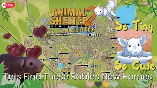 How Many Little Rodents can We Save Today | Animal Shelter Simulator 2 New DLC Little Friends