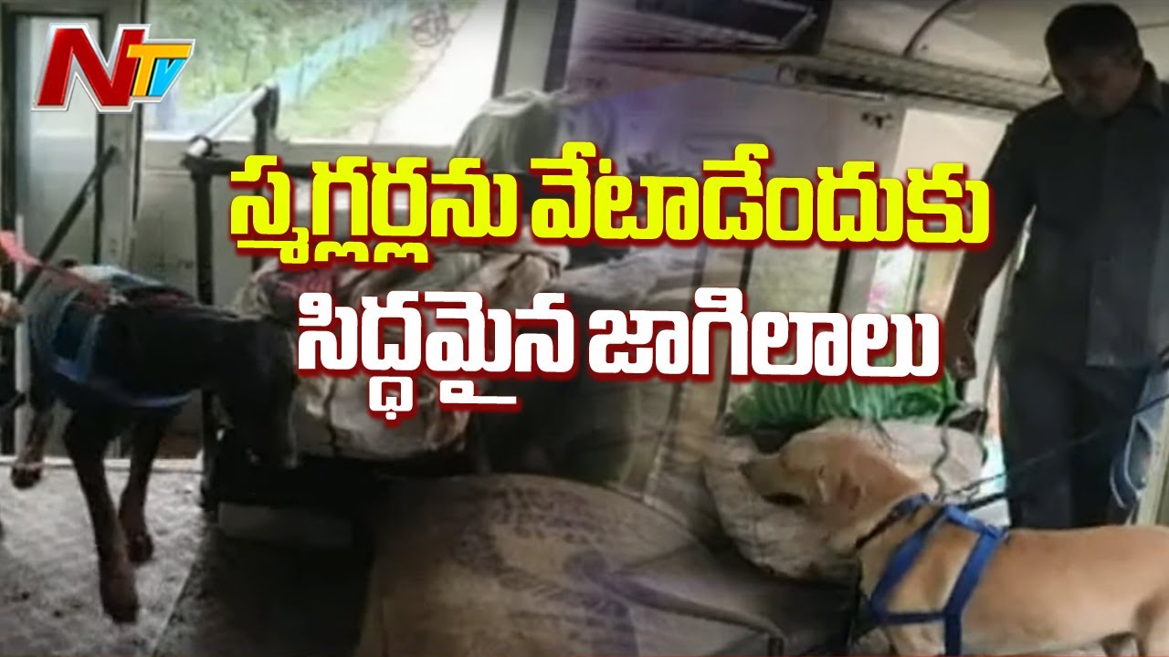 Visakhapatnam Police Introduces Trained Sniffer Dogs To Control Ganja Smuggling || NTV tdp4