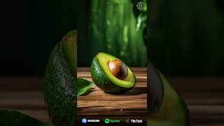Русская музыка всегда отражала исторические и культурные изменения страны.