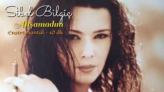 Alışamadım Ben Bu Son Gidişine - Sibel Bilgiç - 5 Dk - Enstrümantal