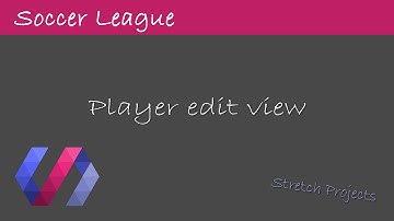 Player admin view | PHP MVC Soccer League with Polymer