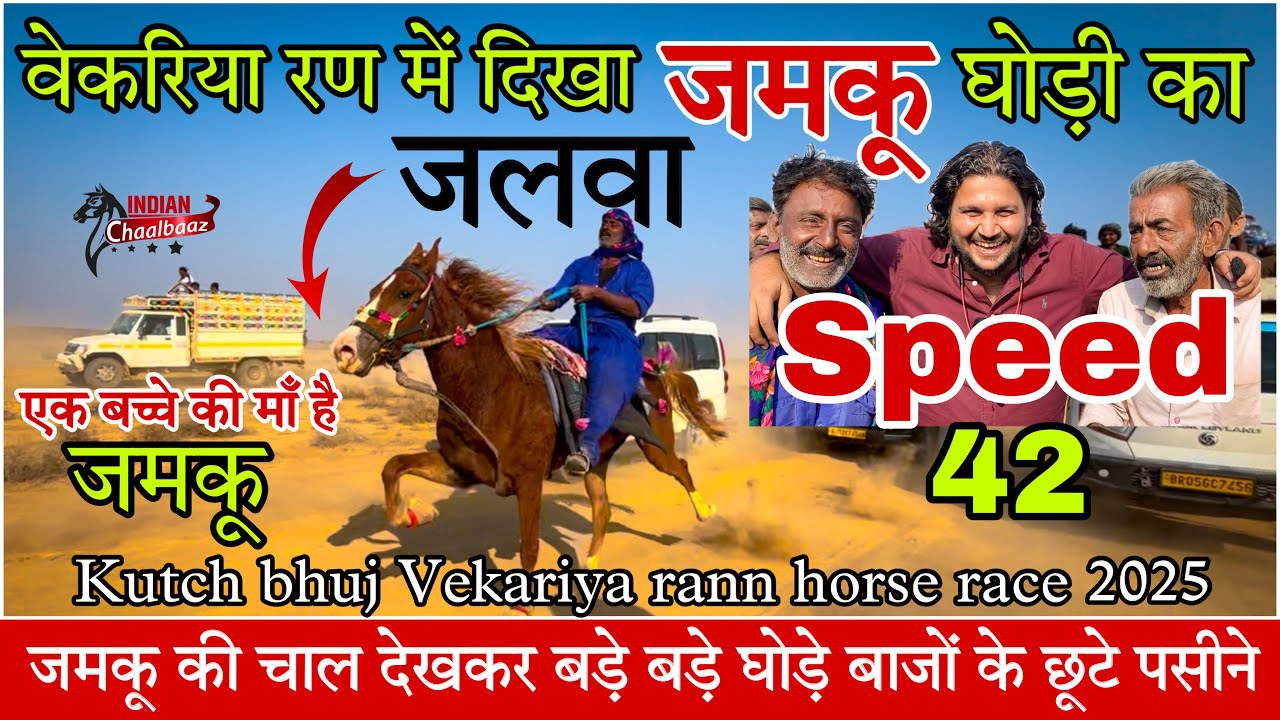 वेकरिया रण में जमकू की चाल देखकर बड़े बड़े घोड़े बाजों के छूटे पसीने Kutch bhuj race 2025