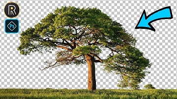 របៀបលុបផ្ទៃខាងក្រោយចេញយ៉ាងងាយៗ | Techniques To Cut Out Trees In Photoshop 2020