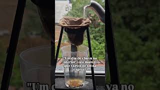 Solo de pingo d'água - Raul Torres (@raultorres.btu ) - #viola #chuva #natureza #raiz #cultura
