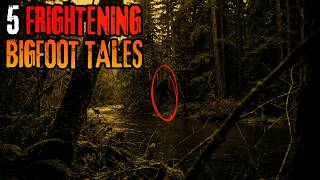 5 Frightening Oregon Bigfoot Encounters That Will Make You Question Everything