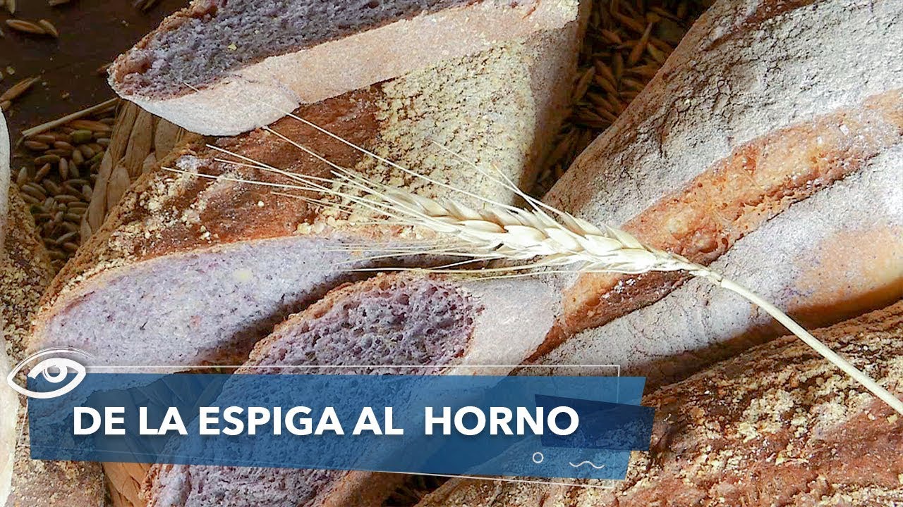 De la espiga al horno - Día a Día - Teleamazonas revista semana