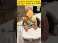 Ref:_F4GWhc9xzs Ranking the best babies getting calmed by cheese#babycheese #funnybabies #babycompilation