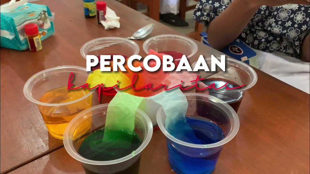 Percobaan Hukum Kapilaritas - YouTube