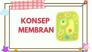 KONSEP MEMBRAN