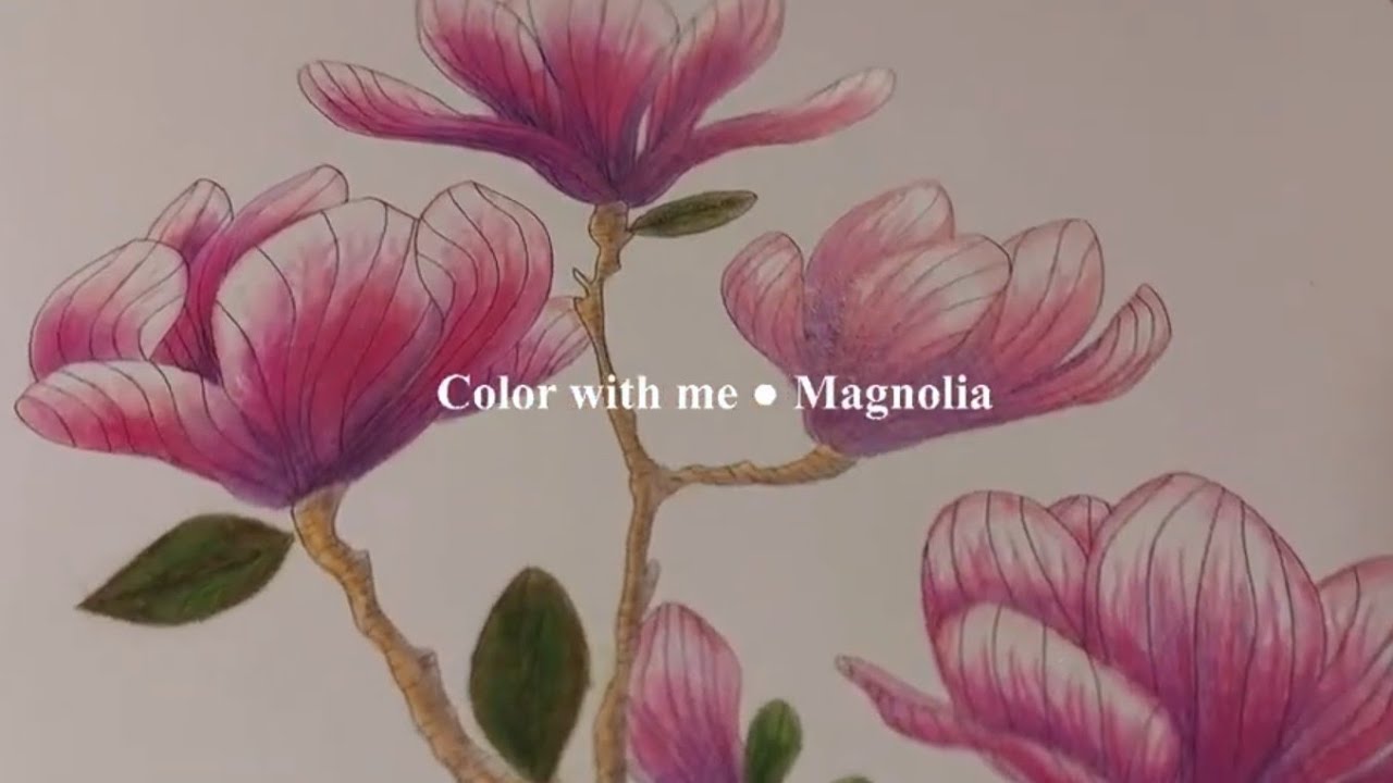 1 Hour ASMR Coloring | Magnolia Flowers 🌸 | Color With Me (Colored ...
