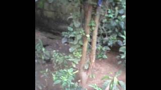 Los Angeles Motorcycle Accident Lawyer