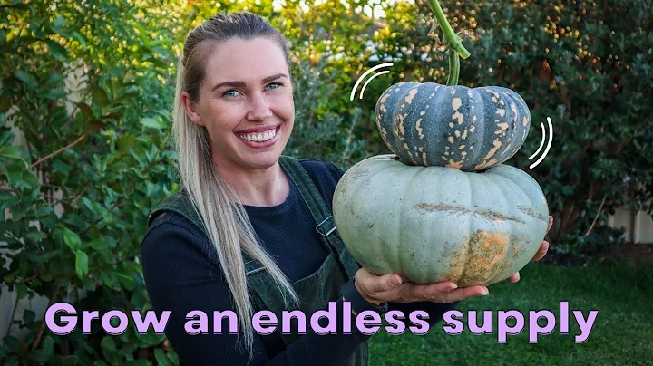 The Ultimate PUMPKIN Growing Guide // Everything you need to know to Grow Pumpkins at Home 🌱🎃