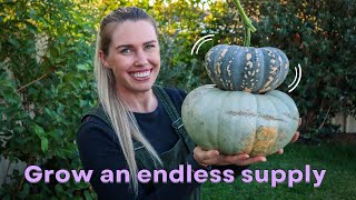 The Ultimate PUMPKIN Growing Guide // Everything you need to know to Grow Pumpkins at Home