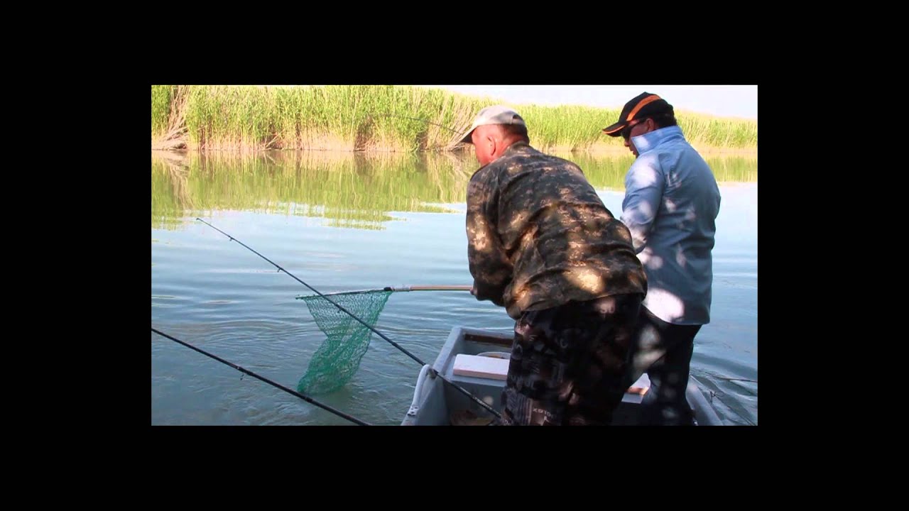 Fishing. Kazakhstan. Балхаш. Рыбалка на базе У Эвальда YouTube
