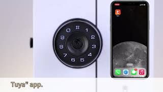 D260 App Connection Tutorial