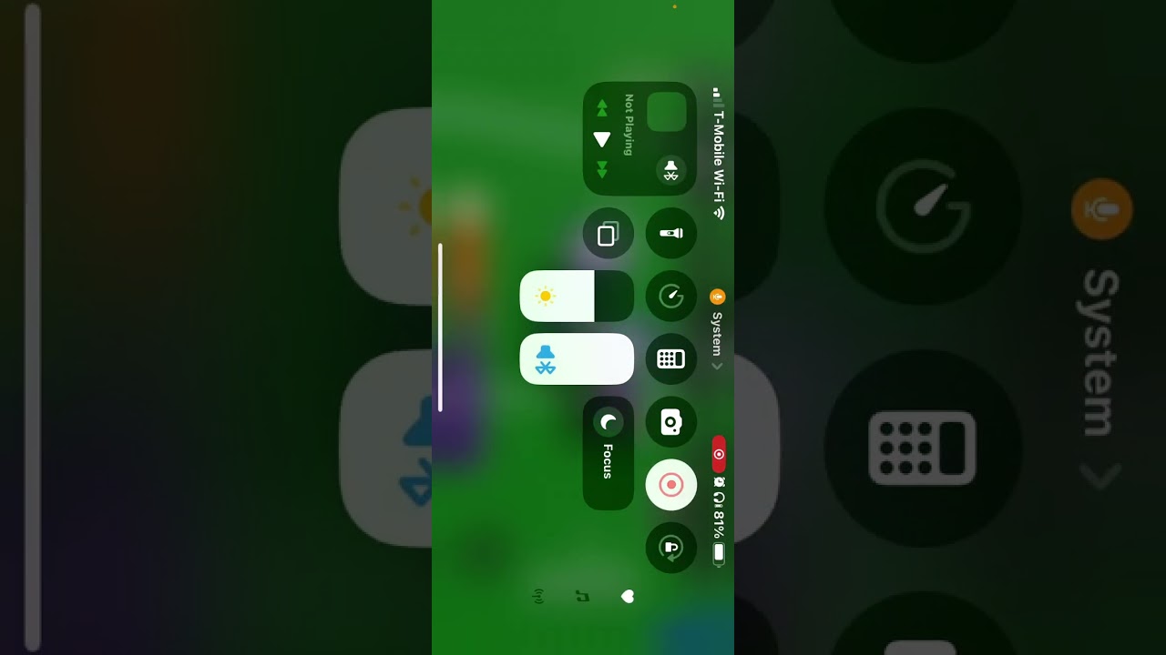 Playing CFB and CL(corsa legends)