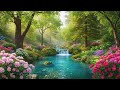Soft Morning Reset Music for Stress Relief and Overthinking Ease to Support Mental Harmony and Focus