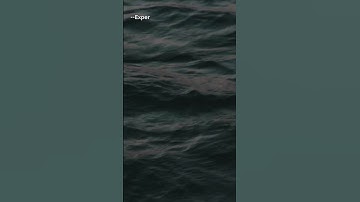 QA JOB OPENING FOR MANUAL TESTERS #manualtesting #selenium #viral #automation #ytshorts #shortvideo