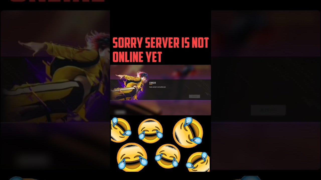 sorry server is not online yet