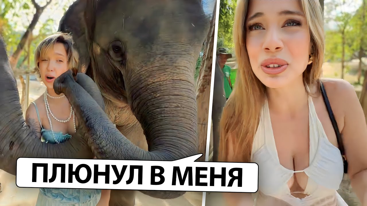 АКУЛИЧ, ГЕНСУХА и МАКСИМ купаются со СЛОНАМИ