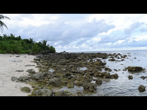 What movies would you pick, if you were stranded on a desert island. TOP 5!