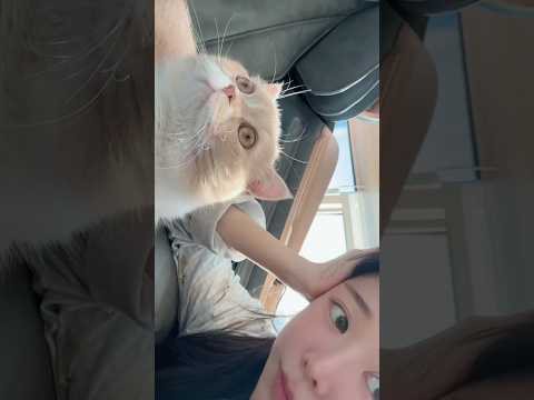 썸머와 둘째 치코 ❤️🫶🏻 쌩얼주의 #model #쇼츠라이브 #cat