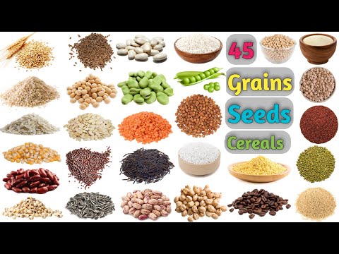 Grains Vocabulary ll About 45 Grains, Seeds & Cereals Name In English With