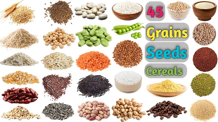 Grains Vocabulary ll About 45 Grains, Seeds & Cereals Name In English With Pictures - DayDayNews