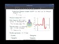 Respiratory System Part 2