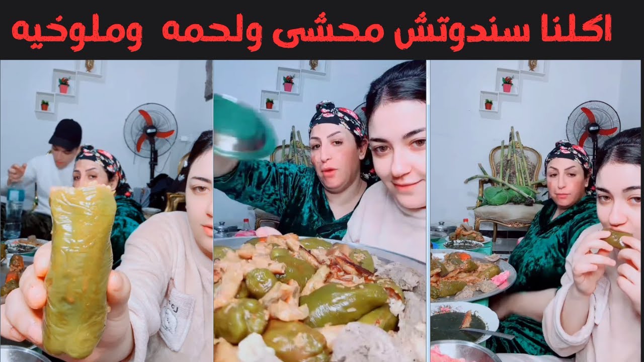 ام ابراهيم اكلنا سندوتش محشى ولحمه  وملوخيه
