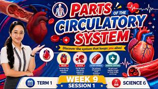TERM 1 | Week 9 - Session 1 | SCIENCE 6 - Parts of the Circulatory System #revisedk12curriculum