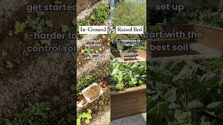 Personally I will always picked raised beds but there’s pros and cons to both! #raisedbeds #gardem